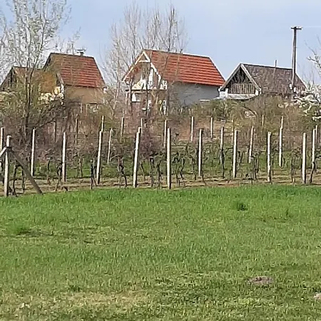 Chalet Grapeline Chotin