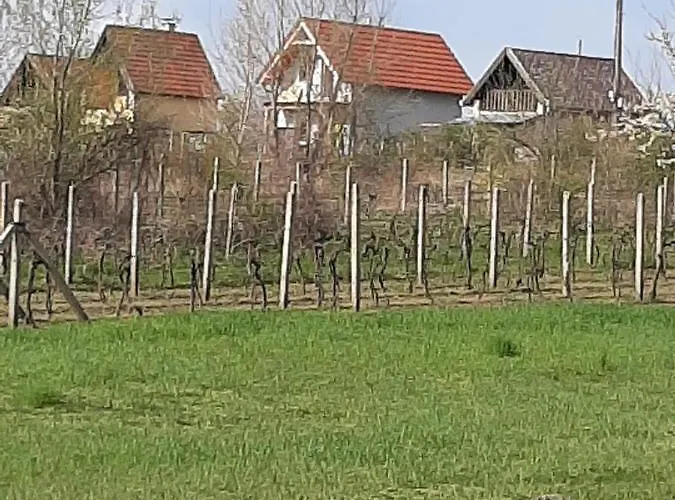 Chalet Grapeline Chotin